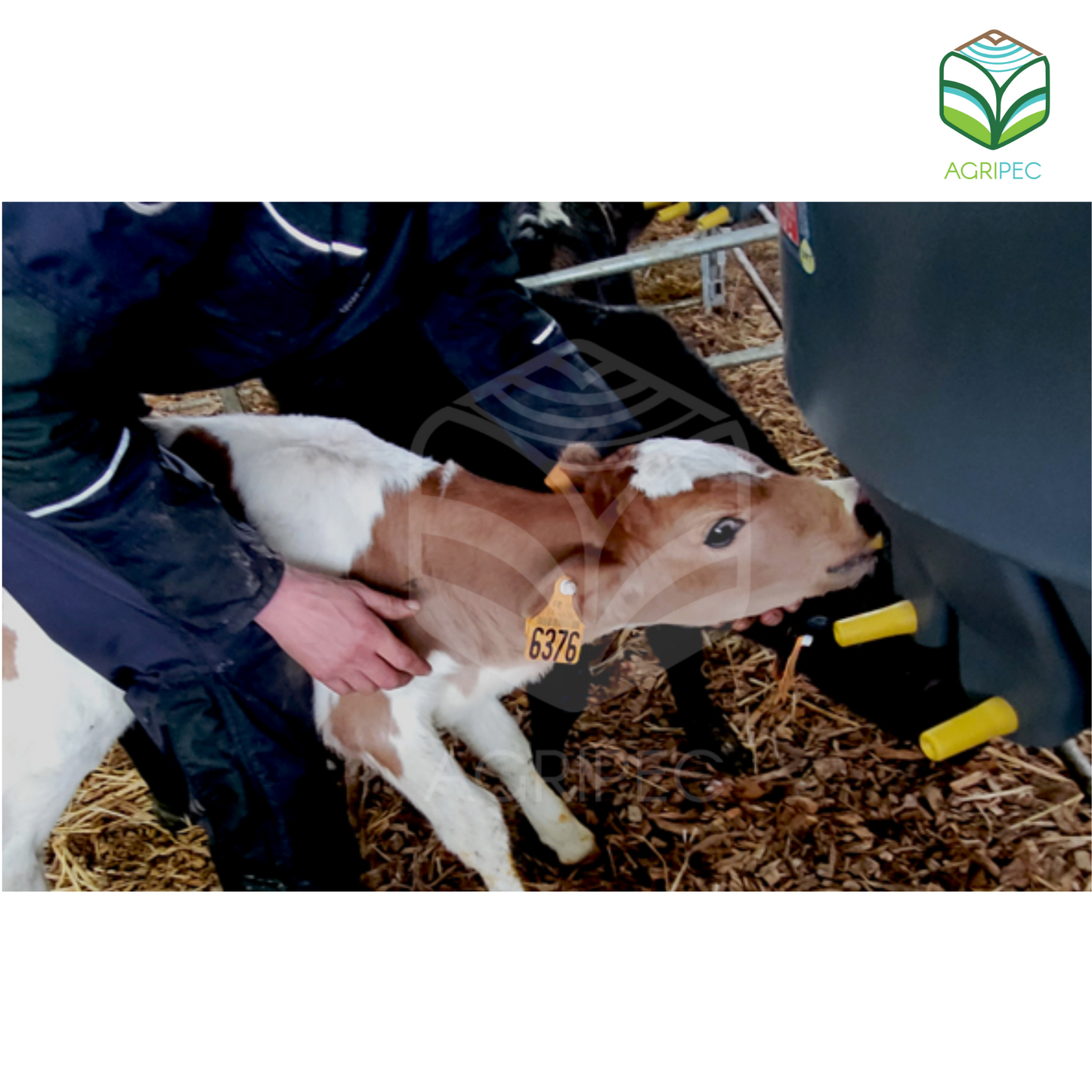 Tetina de entrenamiento Milk Bar ™ (x10 unidades)