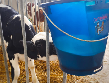 Calf Buddy 1 - 9 litros
