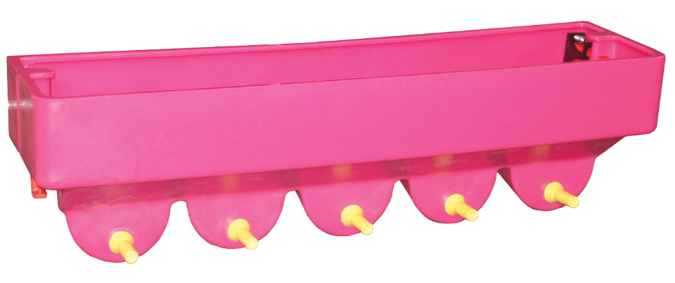 Milk Bar ™ 5 compartimentos para corderos y cabritos - Tetina de entrenamiento