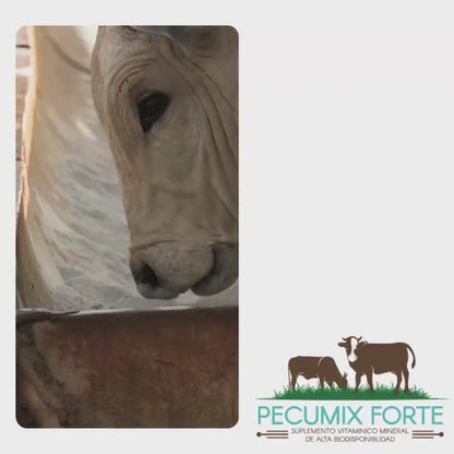 PECUMIX FORTE